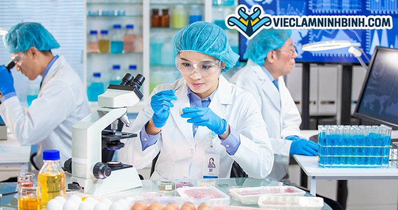 Các công việc của ngành công nghệ thực phẩm phổ biến