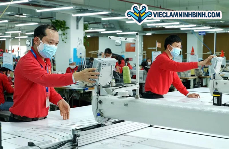 Mức thu nhập việc làm may mặc tại Ninh Bình có cao không?