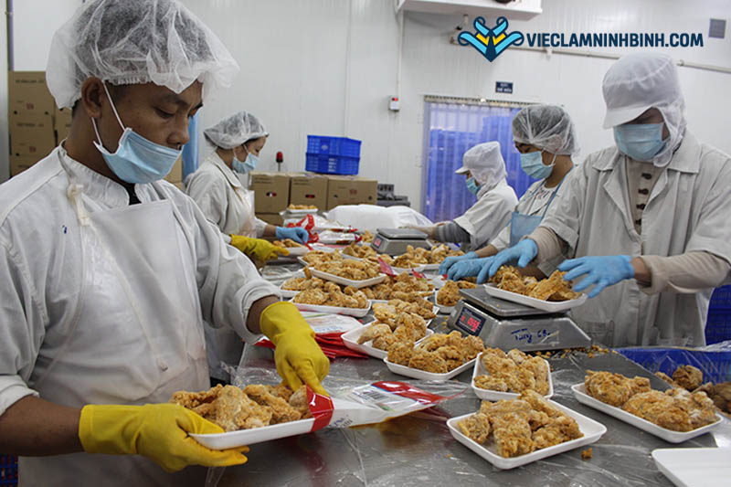 Nhu cầu tuyển dụng việc làm ngành công nghệ thực phẩm tại Ninh Bình