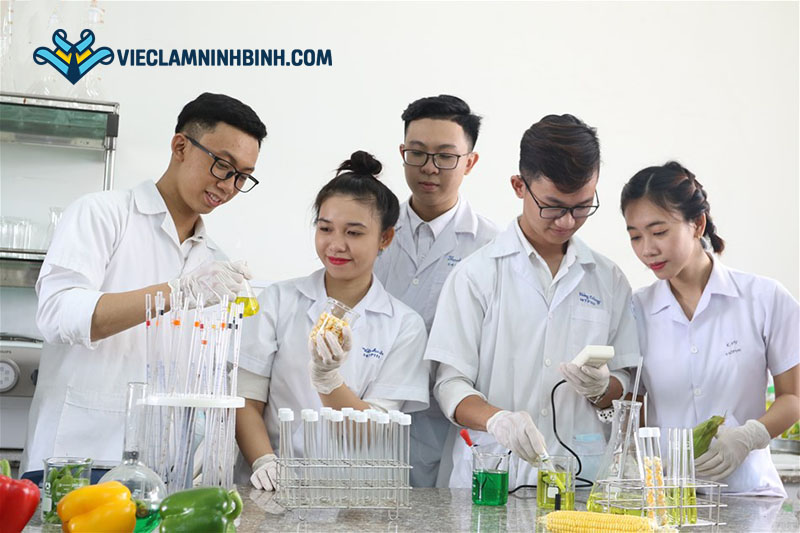 Tìm việc làm công nghệ thực phẩm tại Ninh Bình ở đâu?
