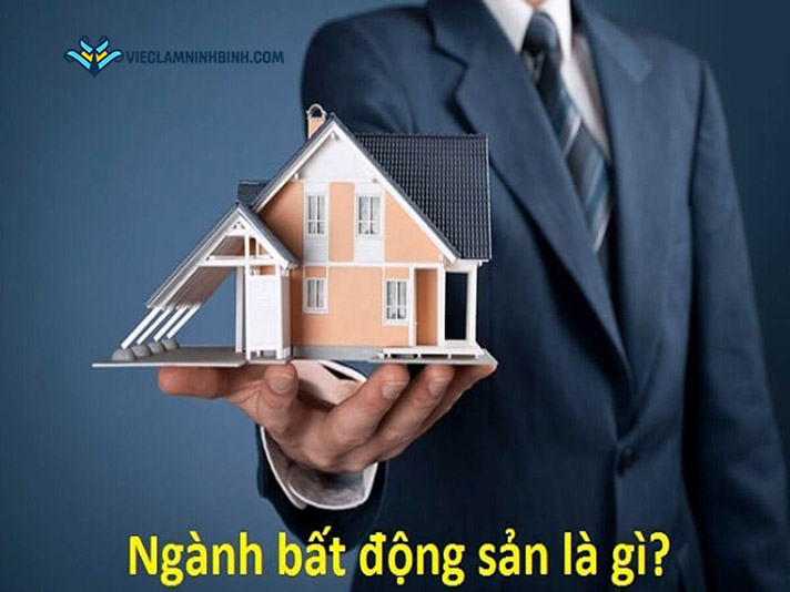 Tổng quan thị thường bất động sản tại Ninh Bình