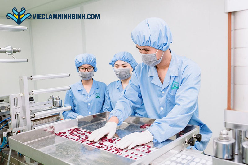 Việc làm công nghệ thực phẩm tại Ninh bình