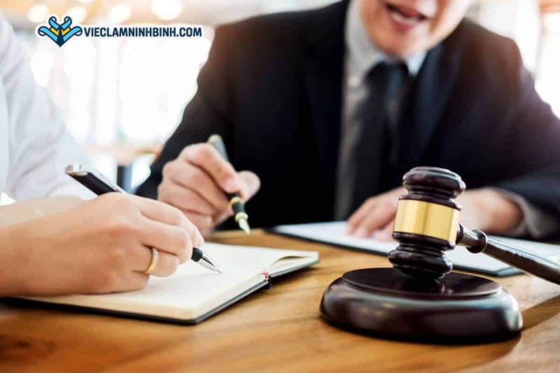 Yêu cầu cần có để tìm việc làm luật Ninh Bình