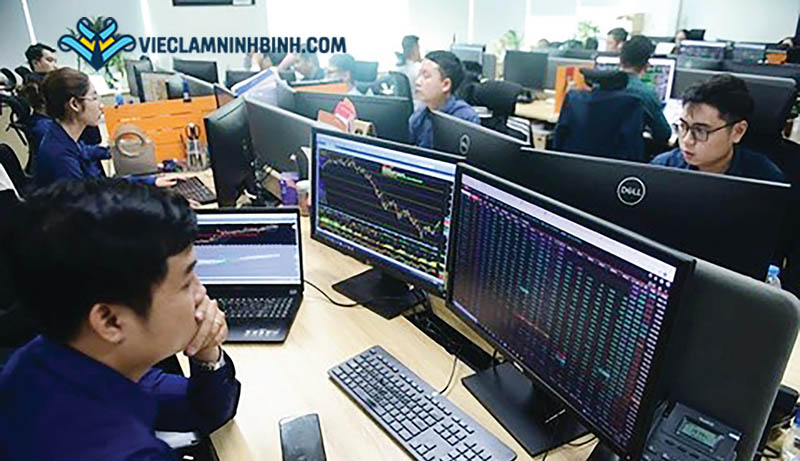 Yêu cầu cần có khi tìm việc làm chứng khoán tại Ninh Bình