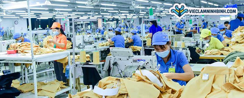 Yêu cầu cần có khi ứng tuyển việc làm may mặc Ninh Bình