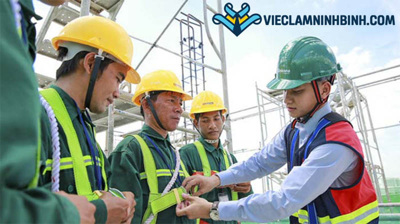 Tìm việc làm môi trường Ninh Bình ở đâu uy tín?