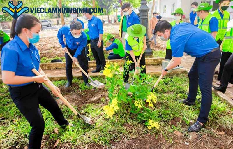 Tổng quan về thị trường việc làm môi trường Ninh Bình hiện nay