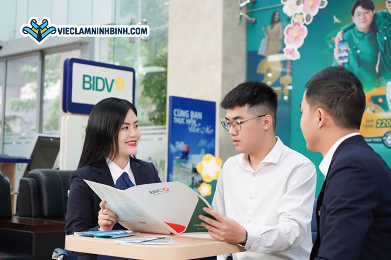 Kỹ năng cần thiết để thành công trong ngành bảo hiểm