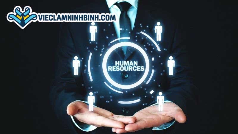 Những kỹ năng cần có khi làm việc trong ngành nhân sự