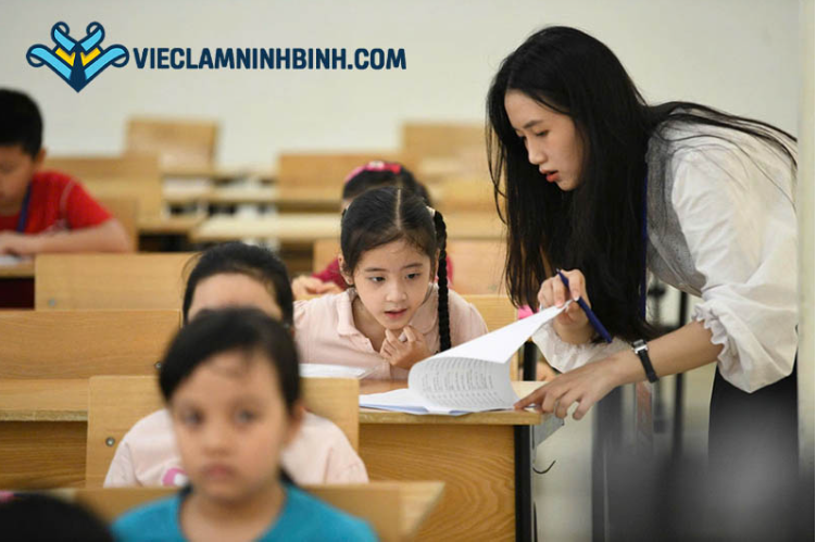 Các vị trí phổ biến trong ngành Giáo dục/ Đào tạo tại Ninh Bình